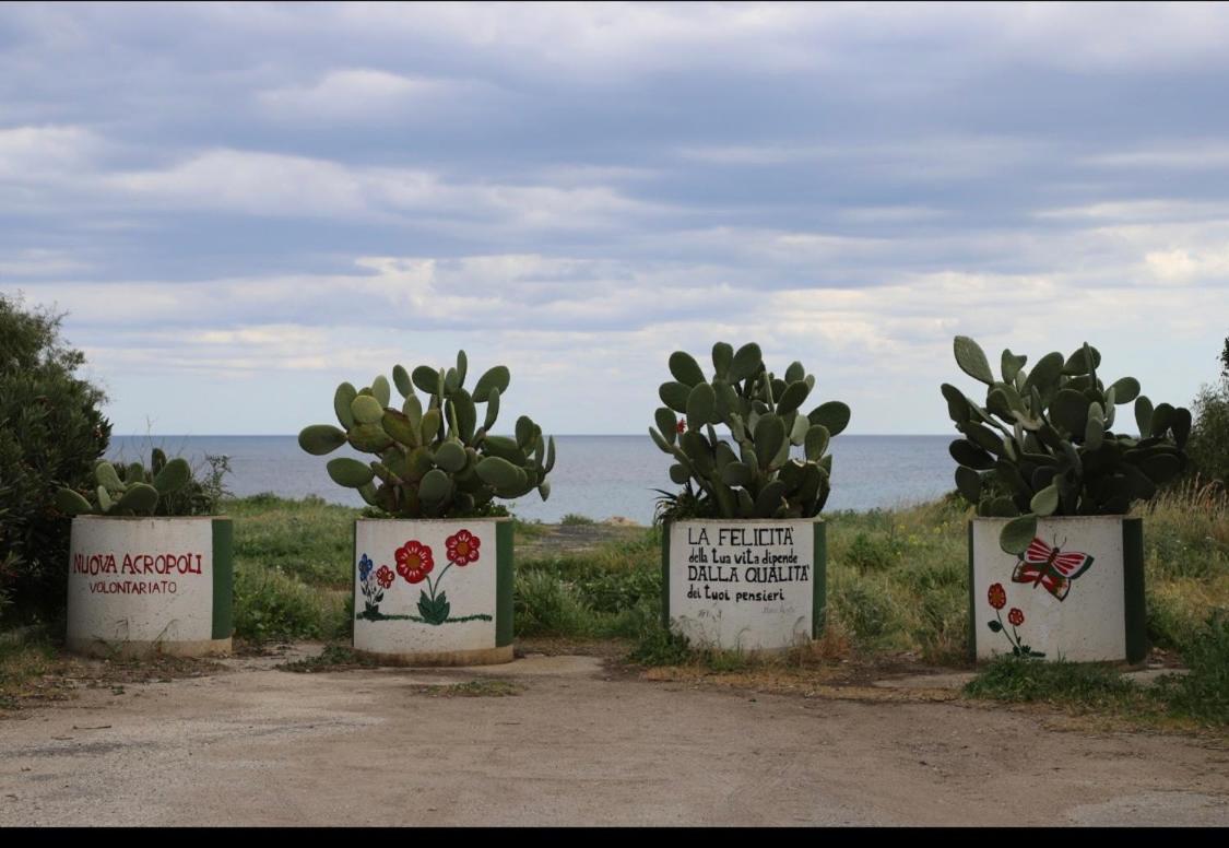 Samoa Beach อาเรเนลลา ภายนอก รูปภาพ